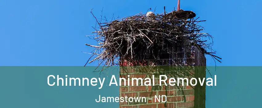  Chimney Animal Removal Jamestown - ND
