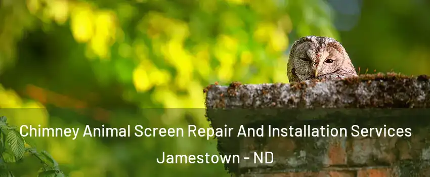  Chimney Animal Screen Repair And Installation Services Jamestown - ND