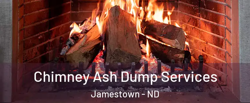  Chimney Ash Dump Services Jamestown - ND