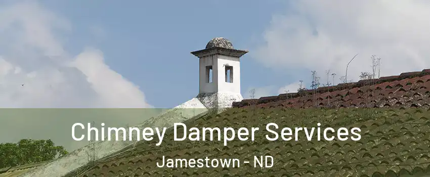  Chimney Damper Services Jamestown - ND