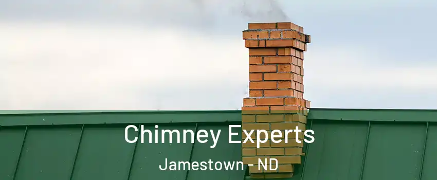  Chimney Experts Jamestown - ND