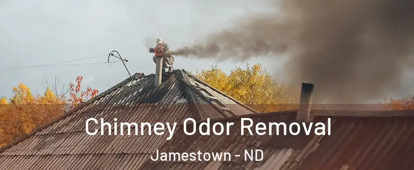  Chimney Odor Removal Jamestown - ND