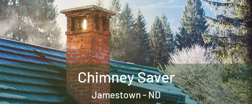  Chimney Saver Jamestown - ND