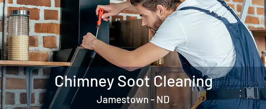  Chimney Soot Cleaning Jamestown - ND