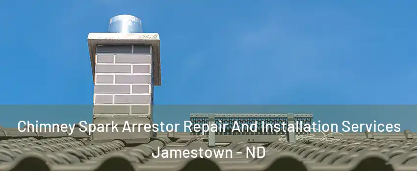  Chimney Spark Arrestor Repair And Installation Services Jamestown - ND