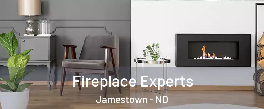  Fireplace Experts Jamestown - ND