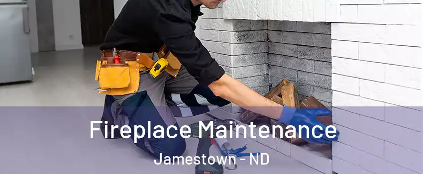  Fireplace Maintenance Jamestown - ND