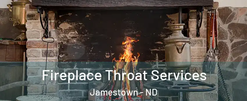  Fireplace Throat Services Jamestown - ND