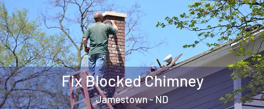  Fix Blocked Chimney Jamestown - ND