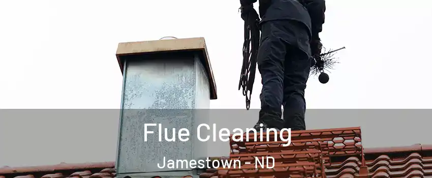  Flue Cleaning Jamestown - ND
