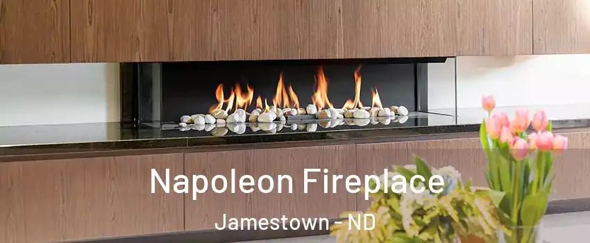  Napoleon Fireplace Jamestown - ND