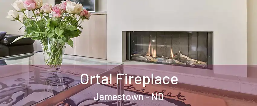  Ortal Fireplace Jamestown - ND